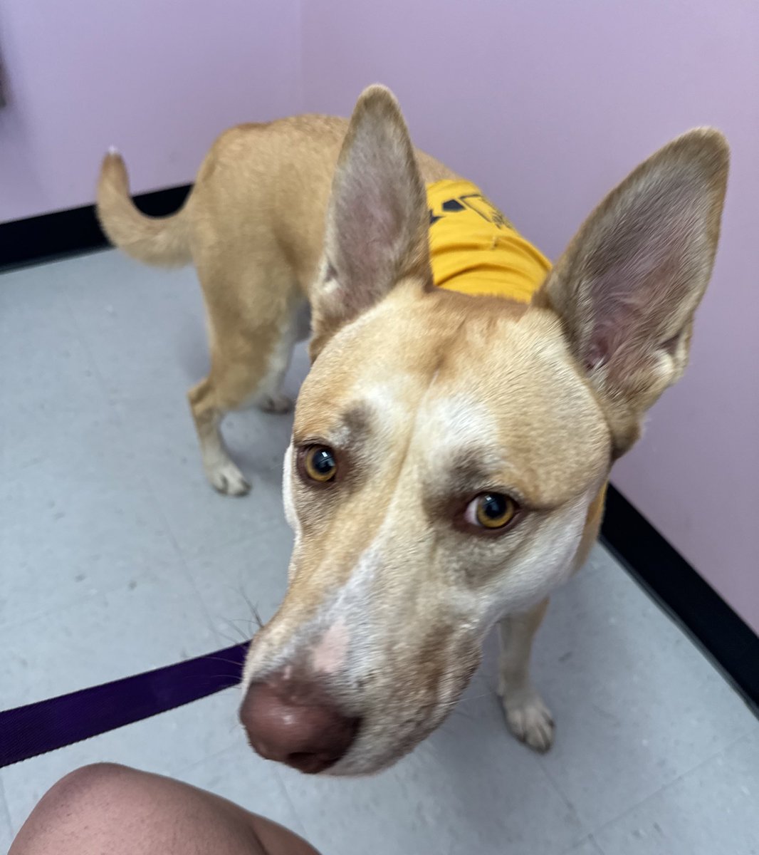 Robin Epley tweet media