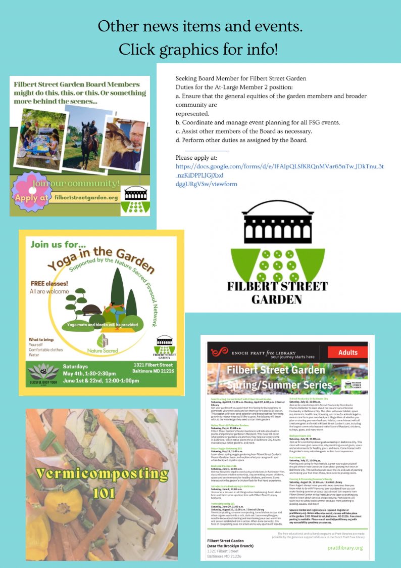 New newsletter and an invitation to #FilbertFest tomorrow! See link in bio.