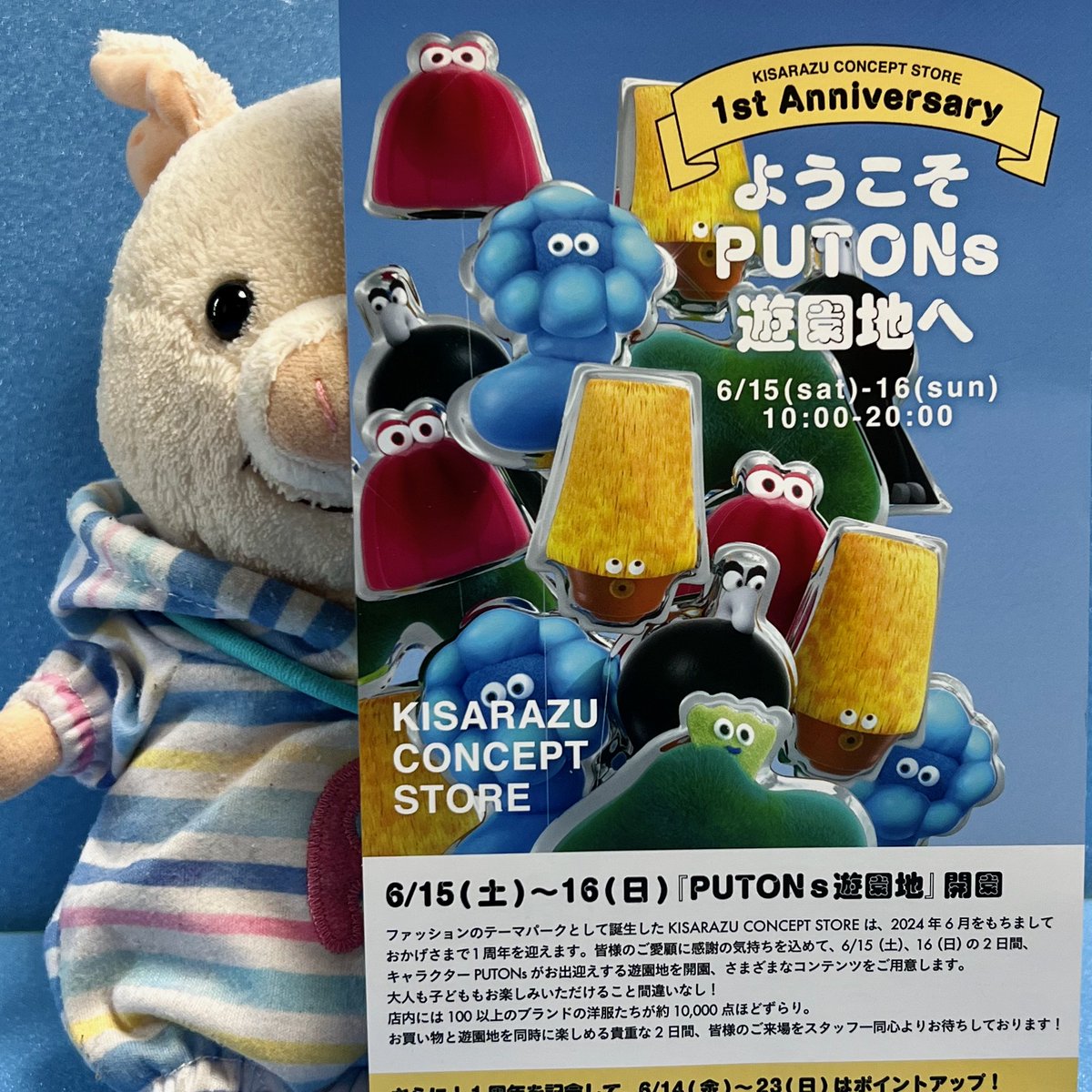 putonputon2014's tweet photo. これって何?
#ぷーとん #PUTONs https://t.co/AnsBRzInio