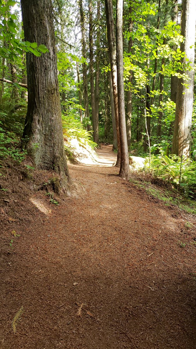 unheardparent's tweet photo. Take time to connect with nature.

#oregonIsbeautiful https://t.co/PPk8a5fQUQ