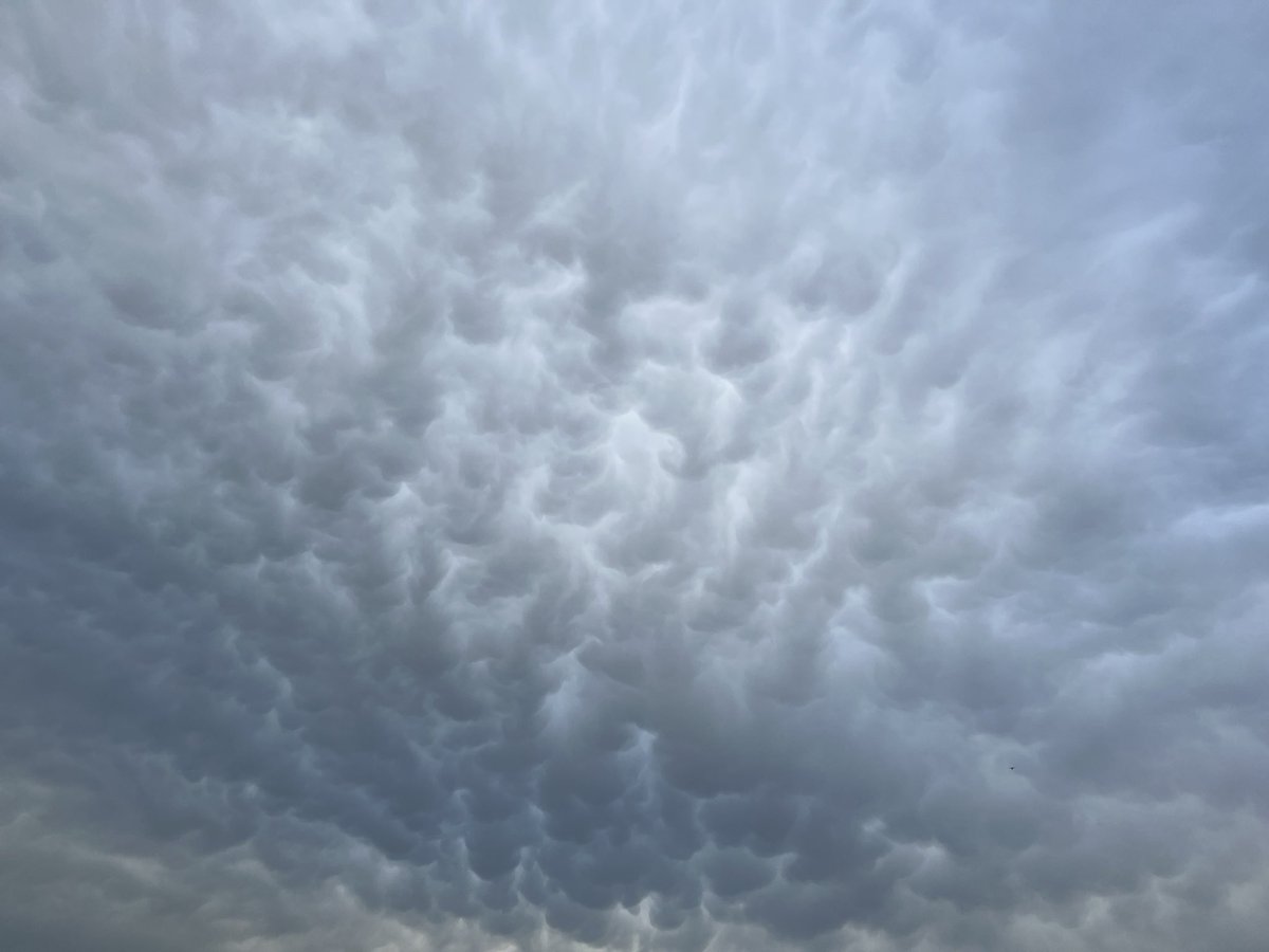 ChrisJones13's tweet image. Some semi-mammatus(?) clouds over Waltham @ericfisher