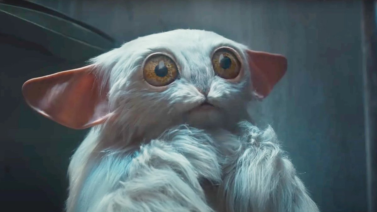 paul 💫 🍉 tweet media