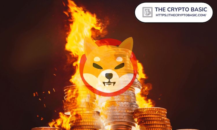 RagnarShiba's tweet photo. Massive #Shiba Inu Burn Coming Soon: Details 

https://t.co/7WWE3QSNWV https://t.co/qb73vY26WQ