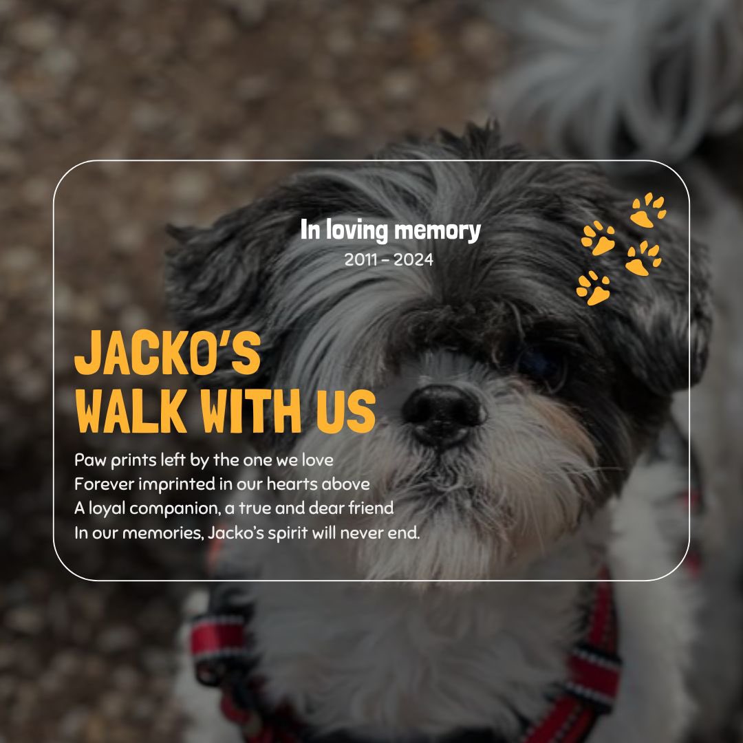 Maria Estrada tweet media