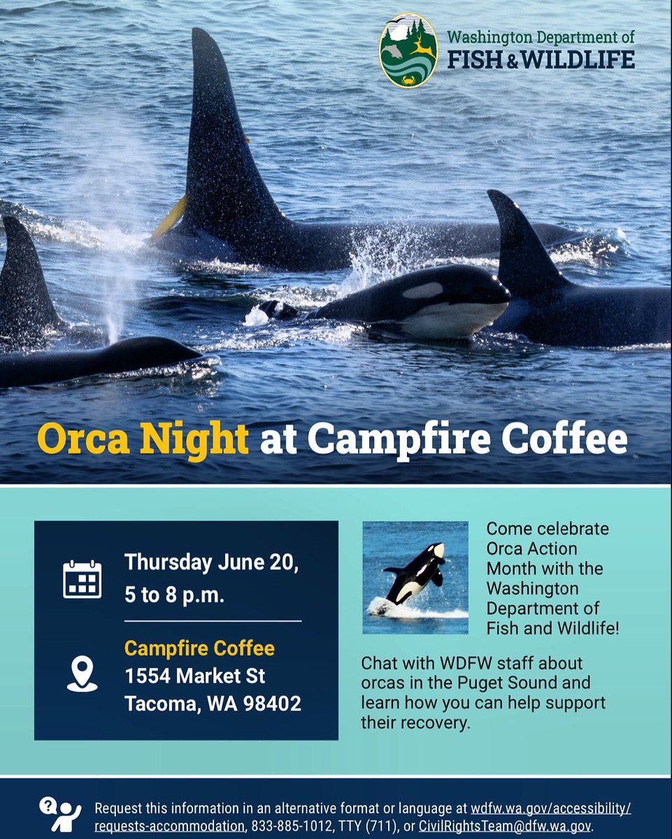 An actual Orca Skull?
Swimming with the Puget sound marine life via VR headset?
Good coffee and better people?
See you June 20th at Campfire
