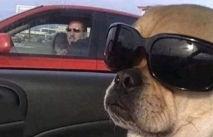 SebasSierraf20's tweet photo. Yo ignorando al auto de al lado después de casi chocarlo... https://t.co/nGSIgLcTCu