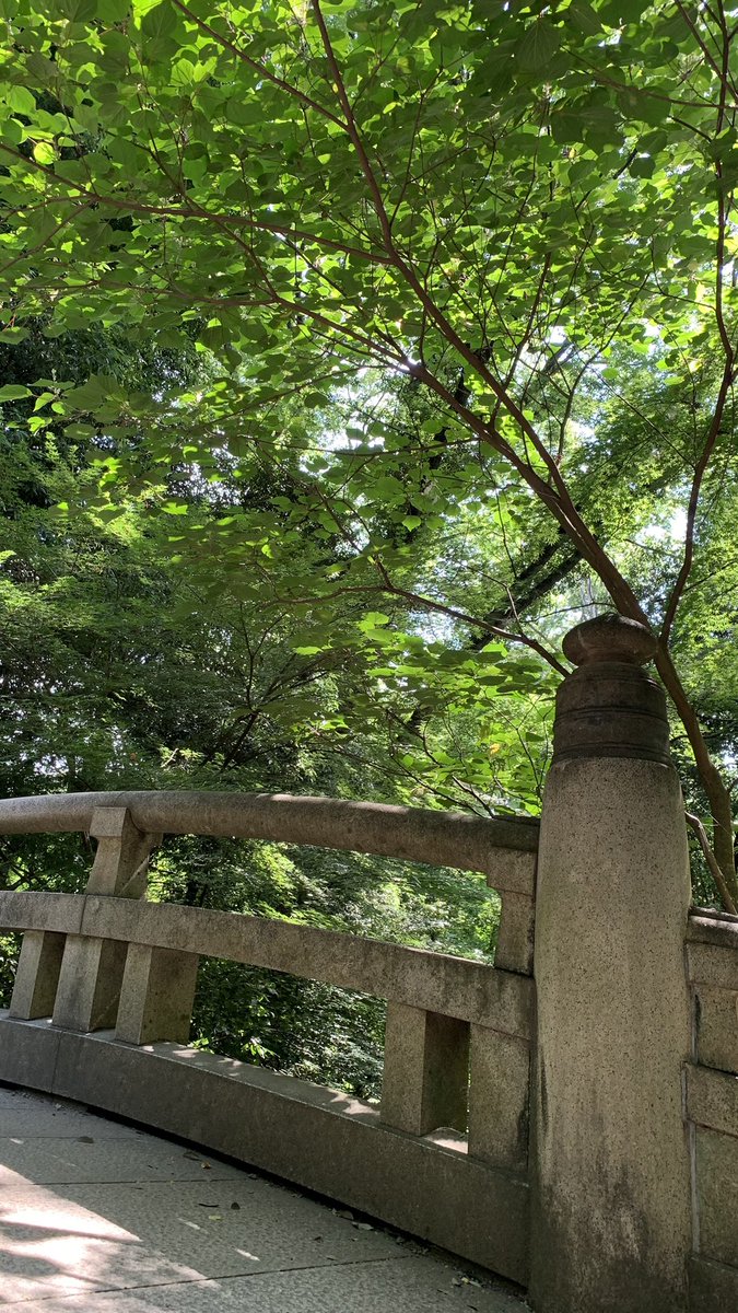 おみゃーらおはこんデスッ✋😈

我は今、森にいます🌳