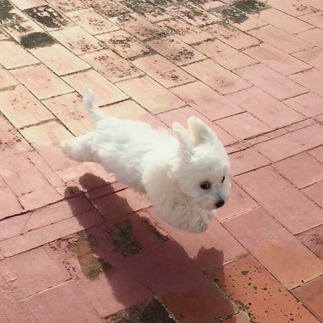 twaniimals's tweet image. 