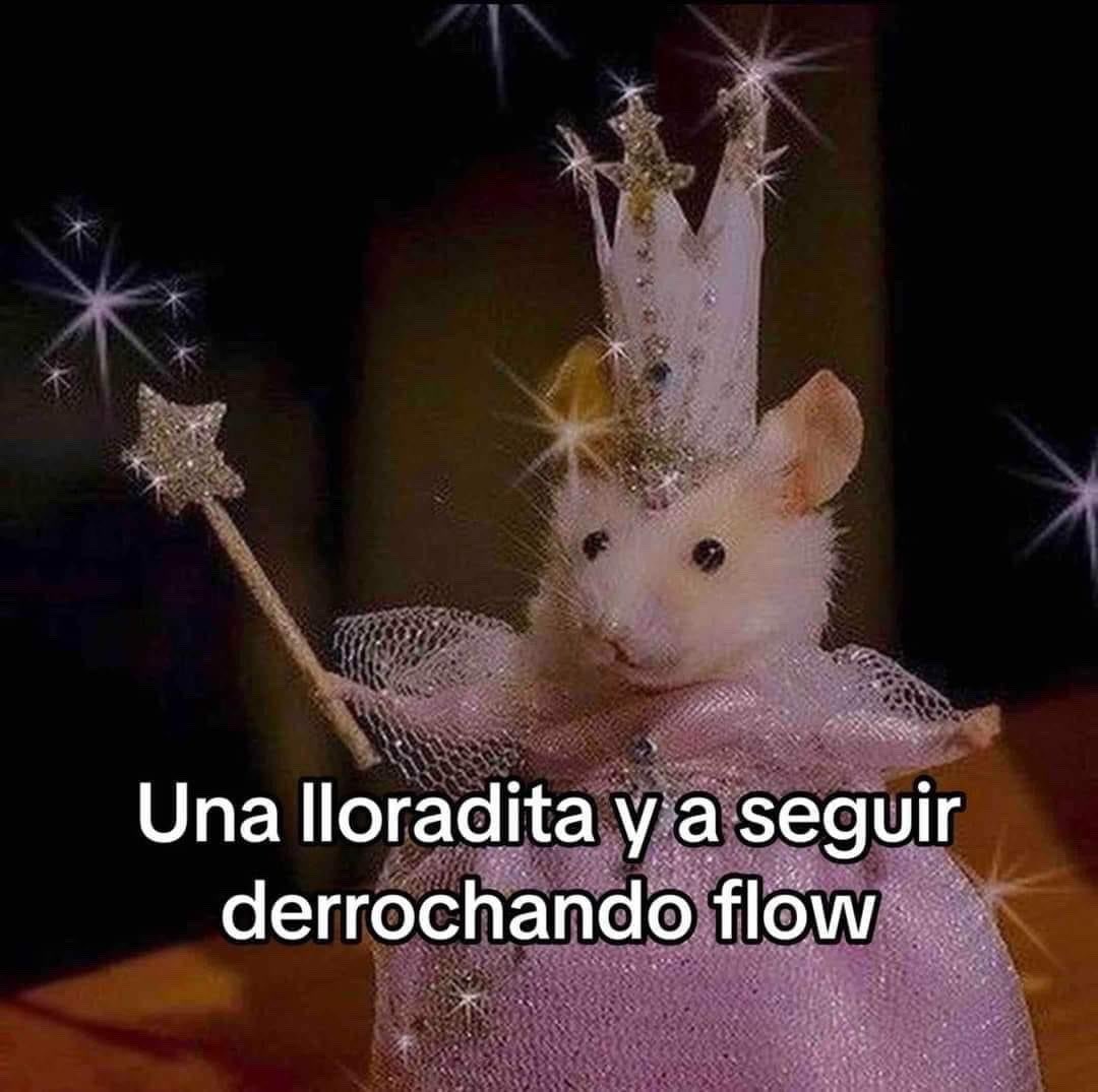 imsracoon's tweet image. 