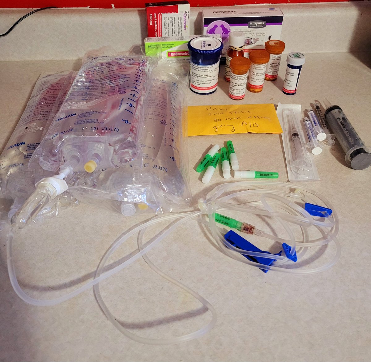 Day 7 : 
Finally a glimmer of hope, kidney levels back to normal and liver values starting to respond &amp; finally making their way to normal &amp; showing an interest in food after a week. Tests r still pending but theirs hope at least. Ty everyone ur prayers &amp; support have helped....