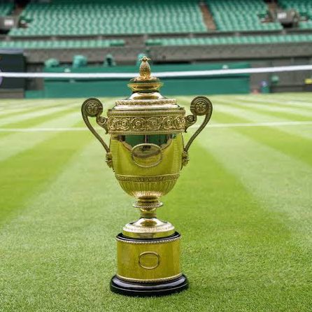 settenisok's tweet photo. Bendito 14 de julio.

🎾 FINAL de Wimbledon
⚽️ FINAL de Copa América
⚽️ FINAL de Eurocopa https://t.co/fmLaqsUj8V