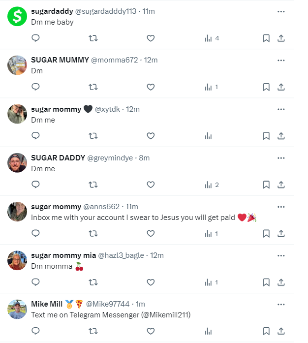 fin ⭐️🦈 tweet media