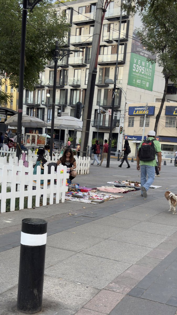 Jardín Pushkin tweet media