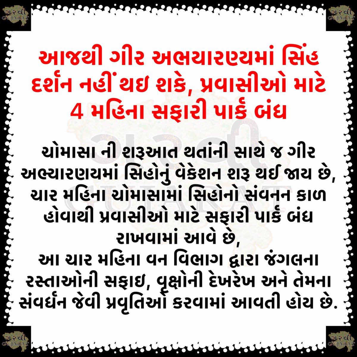 #breakingnews #gujaratnews #gujaratinews #garvigujaratnews #viral #trending #viralnews #trendingnews #trendingnow #gir #sasangir #forest #gujaratforest #lion #safaripark
