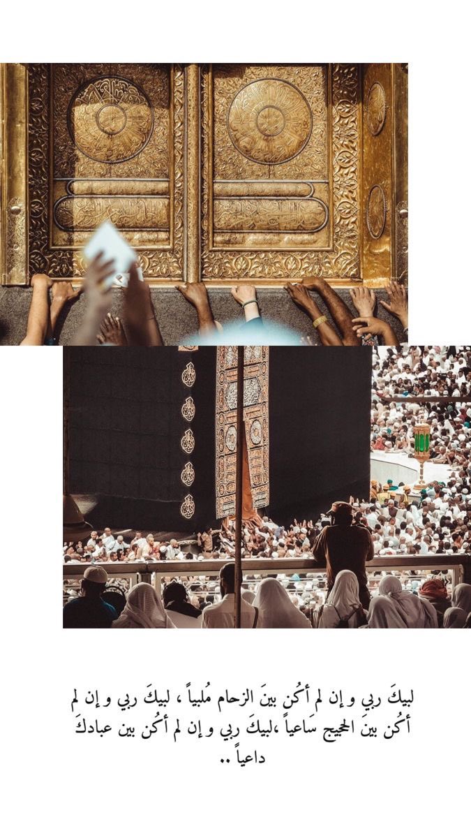 هند بنت محمد الأهدل 愛 tweet media