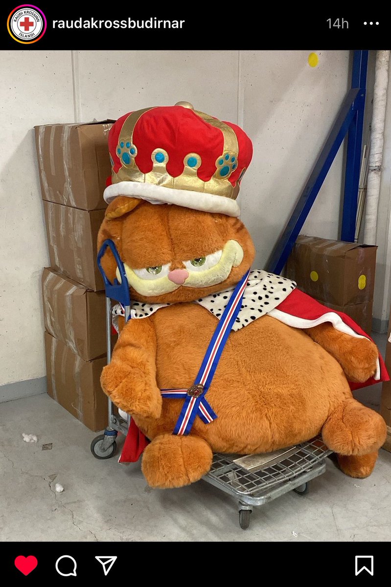 omg… er hjuts ess lasanja koturin til sölu!!!???