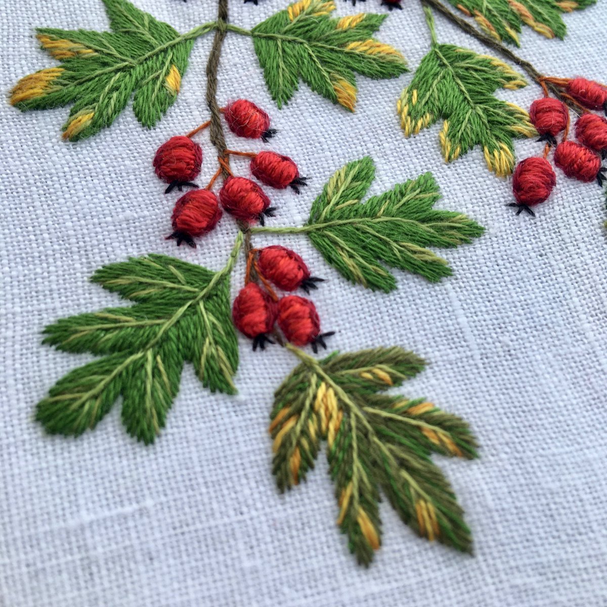 CorArdens's tweet photo. Hawthorn #embroideredhedgerow https://t.co/UJcNwivRo1