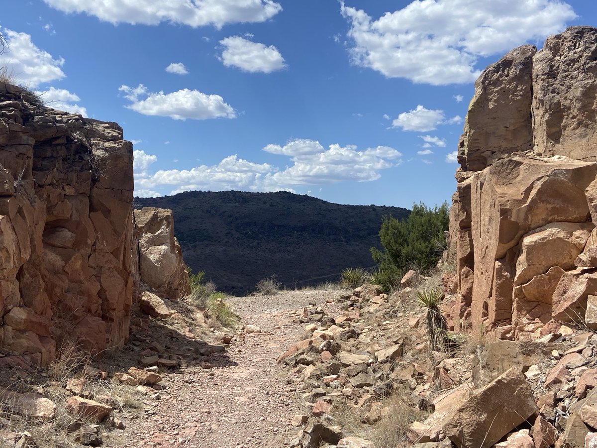 CynthiaZukowski's tweet photo. My view this evening. #TexasParksAndWildlife #DavisMountainsStatePark #SkylineDriveTrail @CynthiaZukowski https://t.co/Gti9MO31LK