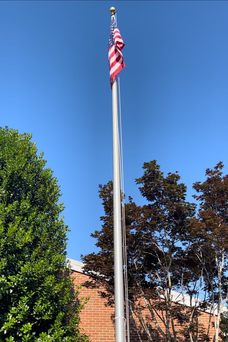 Timber Drive ES tweet media