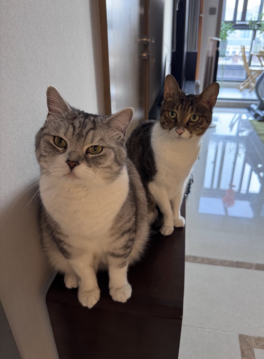 我跟推上很多不工作的大佬的区别，除了我没赚到钱，还有一点是：我跟我老婆关系很好🥲