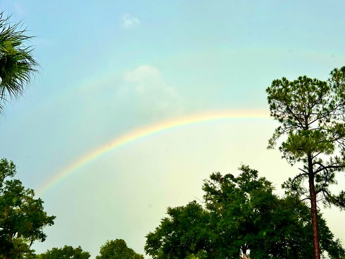 A collection of water droplets in the atmosphere serves as a refractor of light.   Physics is &ldquo;woke.&rdquo;<a href="/tag/rainbow"class="tags"><span>#rainbow</span></a>