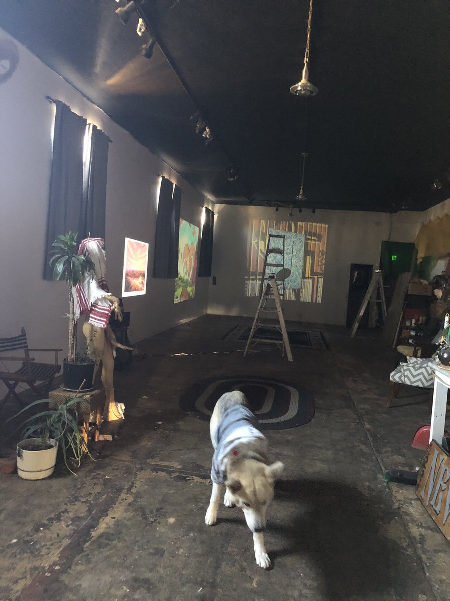 Kodandi is at the beach 🏝️ (@pixiesnakes) on Twitter photo 