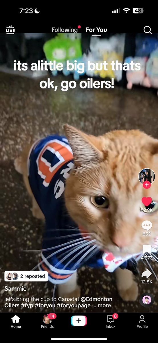 leashadawg's tweet photo. when you hate on the oilers you are hating on him btw https://t.co/X3BoqCCxCx