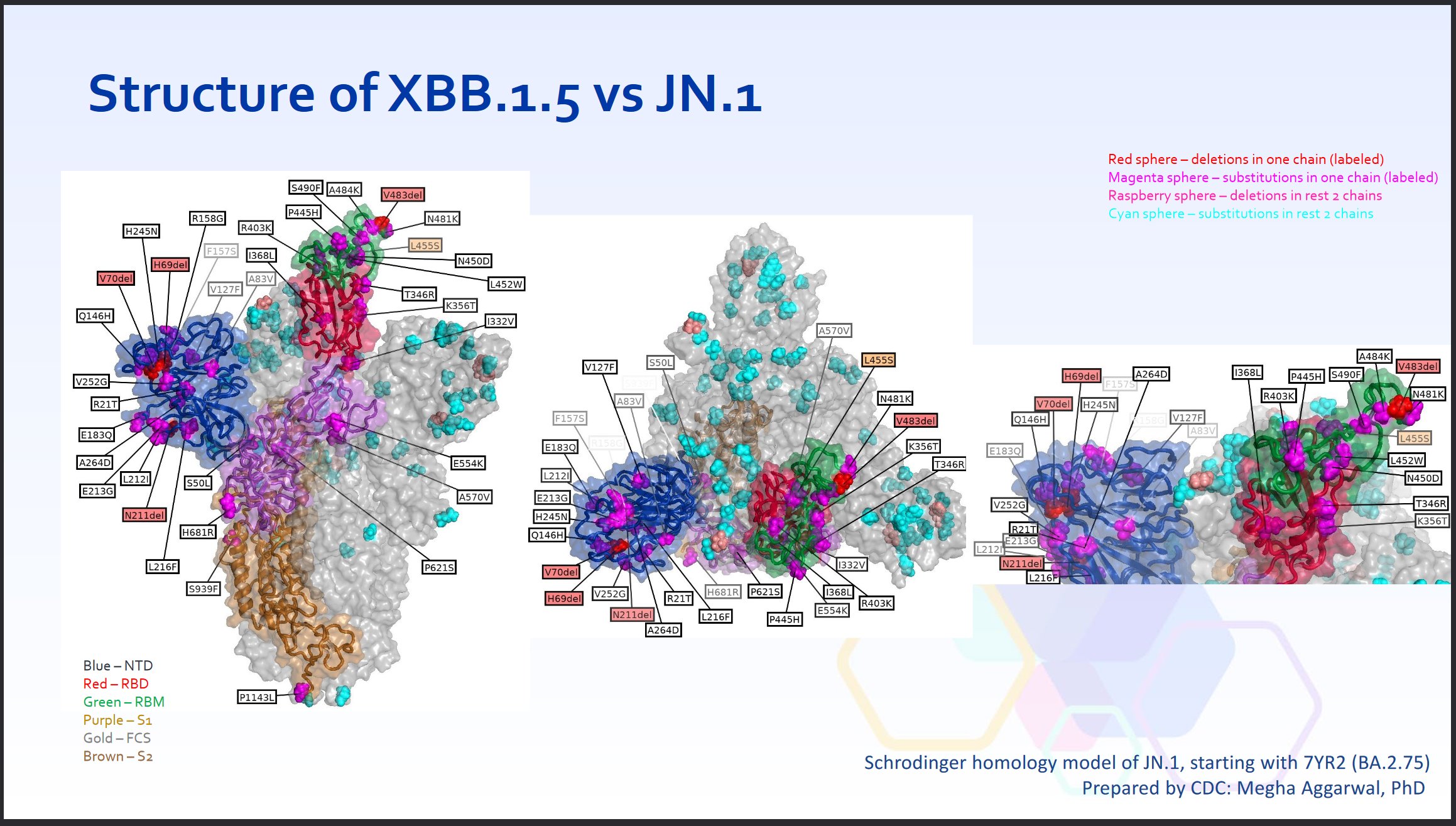 Structural differences between XBB.1.5 and JN.1 spike protein showing huge differences between the variants