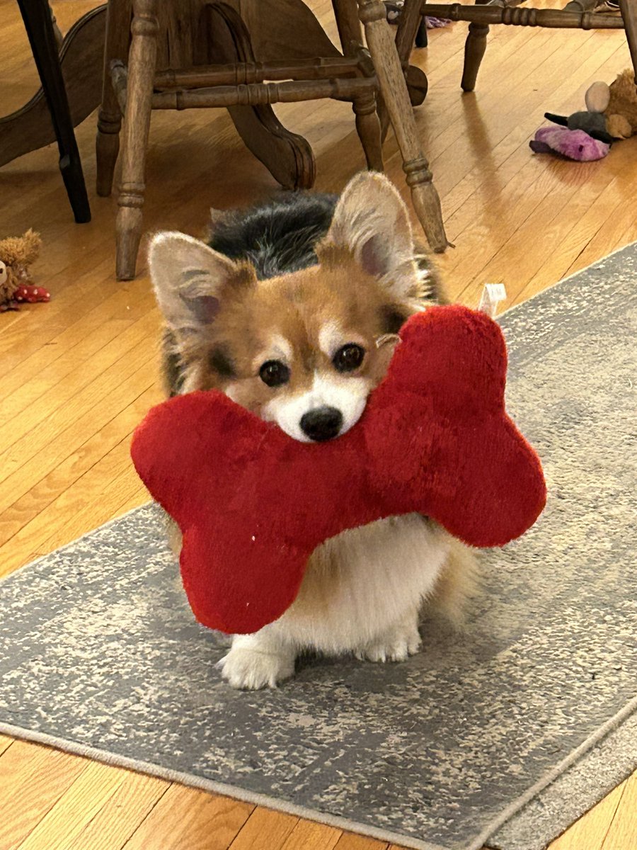 Dr. Emily Petroff tweet media