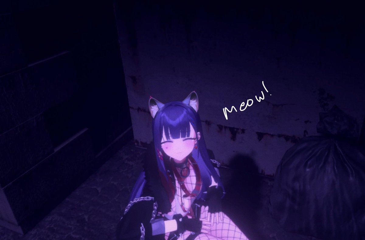 nihmune's tweet photo. dumpster cat who want me https://t.co/bA41ebPeVU