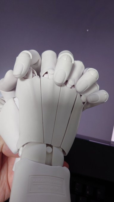 組み手は肉がプラスチックであるところを考慮する必要はあるけど、かなり参考になる( ˘ω˘)

いままでは左手は写真反転してたけど結構思ったのとは違うことが多かったので、直接見れるのはよい 