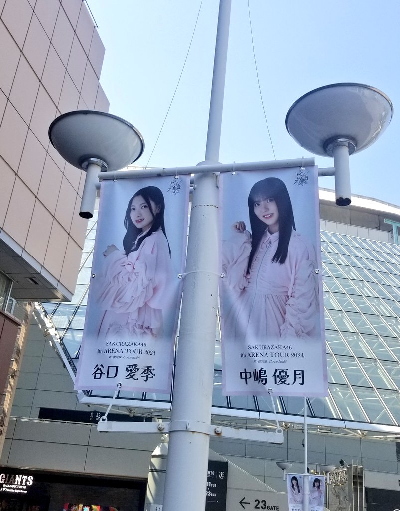 Love_gen_jp's tweet photo. ドーム、メンバーフラッグ！🌸🌸🌸

🔴WATCH-LIVE🇯🇵⤵
👉生中継🇯🇵🔗https://t.co/b8NrcX6PcZ

#櫻坂46
#櫻坂46_4thTOUR
#谷口愛季
#中嶋優月
#村井優
#村山美羽 https://t.co/lggM3B3iuK