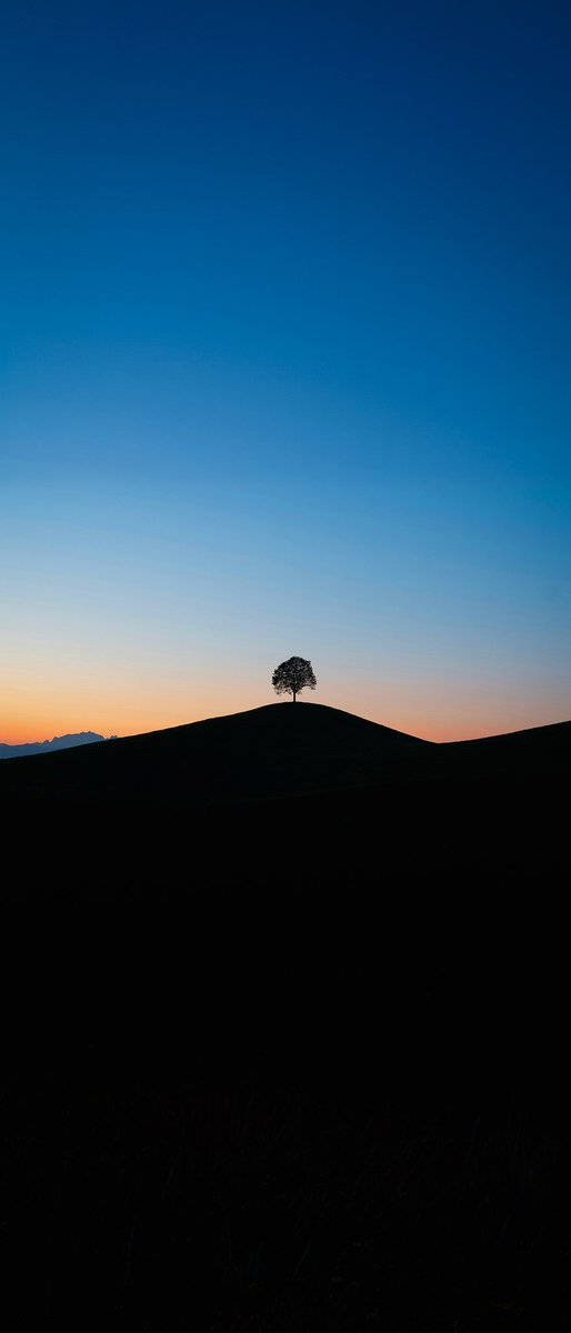 wallsbyjfl's tweet image. Gradient Skies #Wallpapers 

Res - 1285x3000
Aspect - 9:21

Original Image URLs added to ALTs

Free &amp;amp; Premium Walls via Bio 🔗