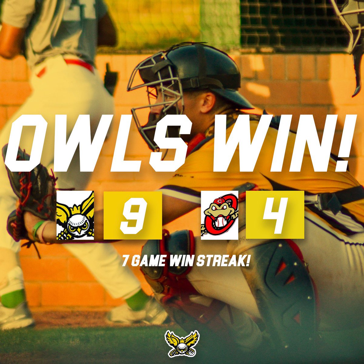 Statesville Owls tweet media