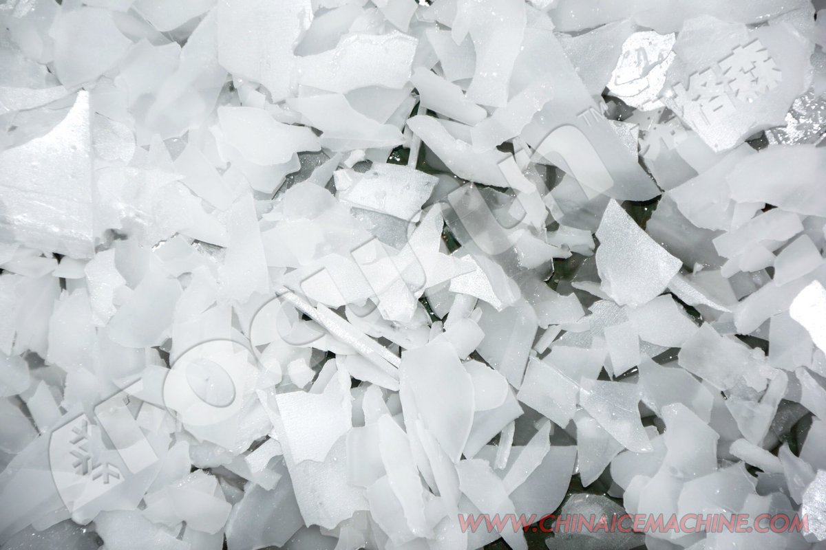 xiangli74954921's tweet image. When it comes to showcasing fish in displays or preserving their freshness, one of the most effective options available is flake ice.
Whatsapp: wa.me/+8618952652345
WeChat :+86189 5265 2345
email: enquiry@focusun.com
Website: en.focusun.com
#flakeicemachine