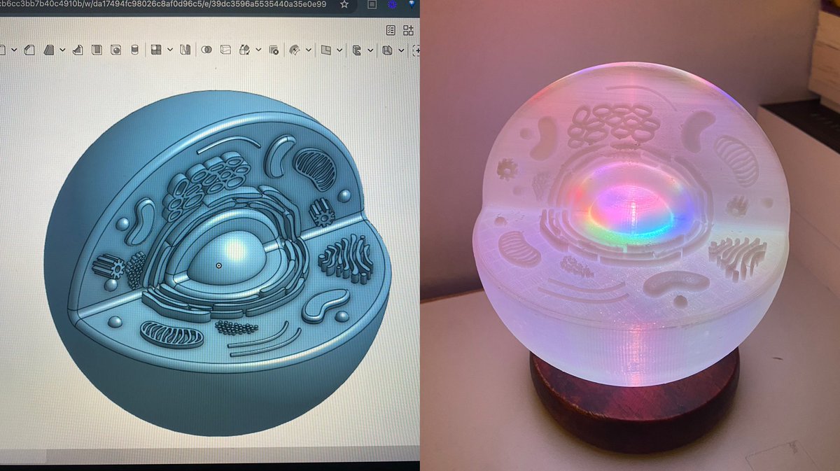 Ashna Nirula tweet media