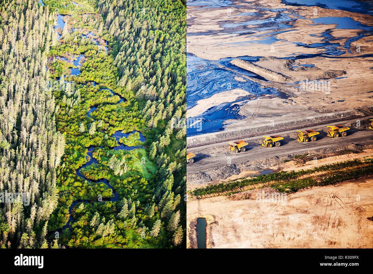 Canada’s Boreal Forest before and after.