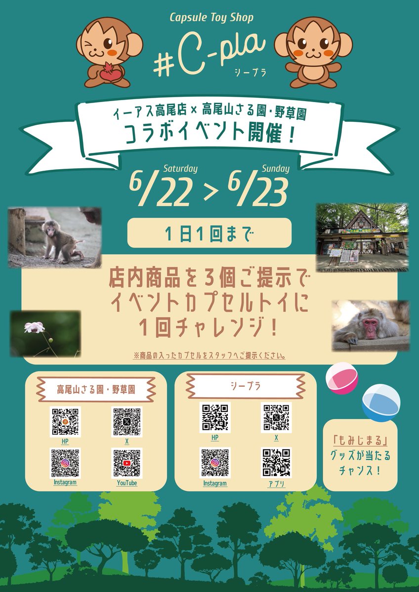 cpla_takao's tweet image. 🐒イベント開催のお知らせ🐒

6/22（土）と6/23（日）の2日間、
#C_pla イーアス高尾店と高尾山さる園・野草園さんとのコラボイベントを開催いたします！

店内の商品を3個ご購入で参加可能🤩
運が良ければ #もみじまる のグッズも当たるかも…！

沢山のご来店お待ちしております🙈✨

#シープラ
