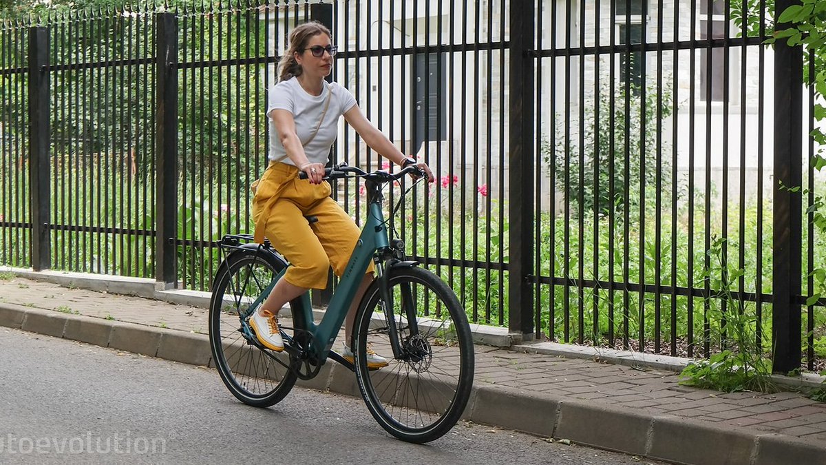 Elena Gorgan tweet media