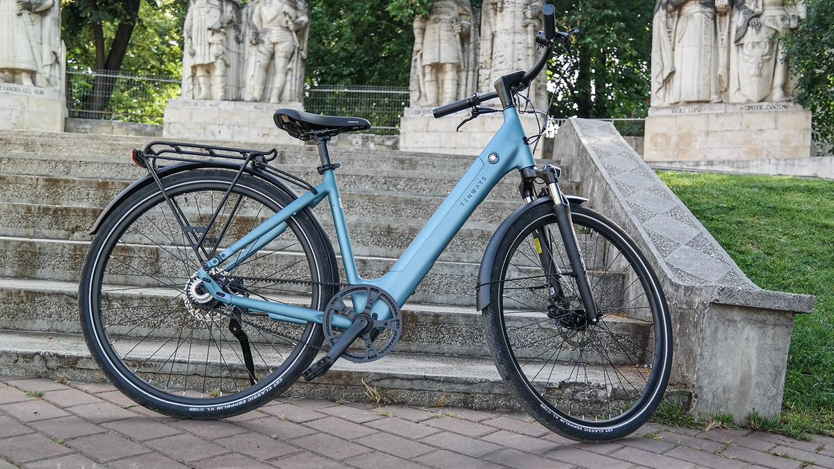 Elena Gorgan tweet media