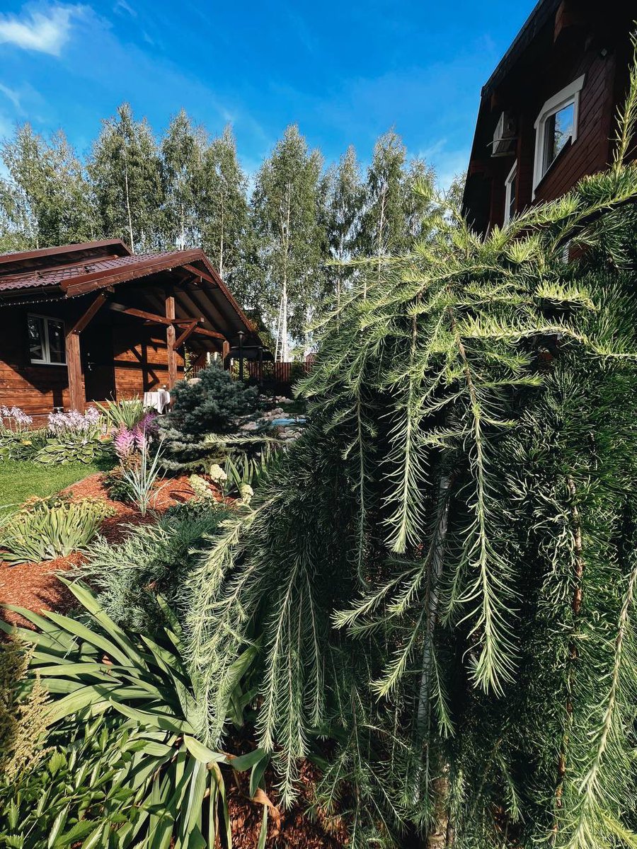 benscomsica1973 tweet media