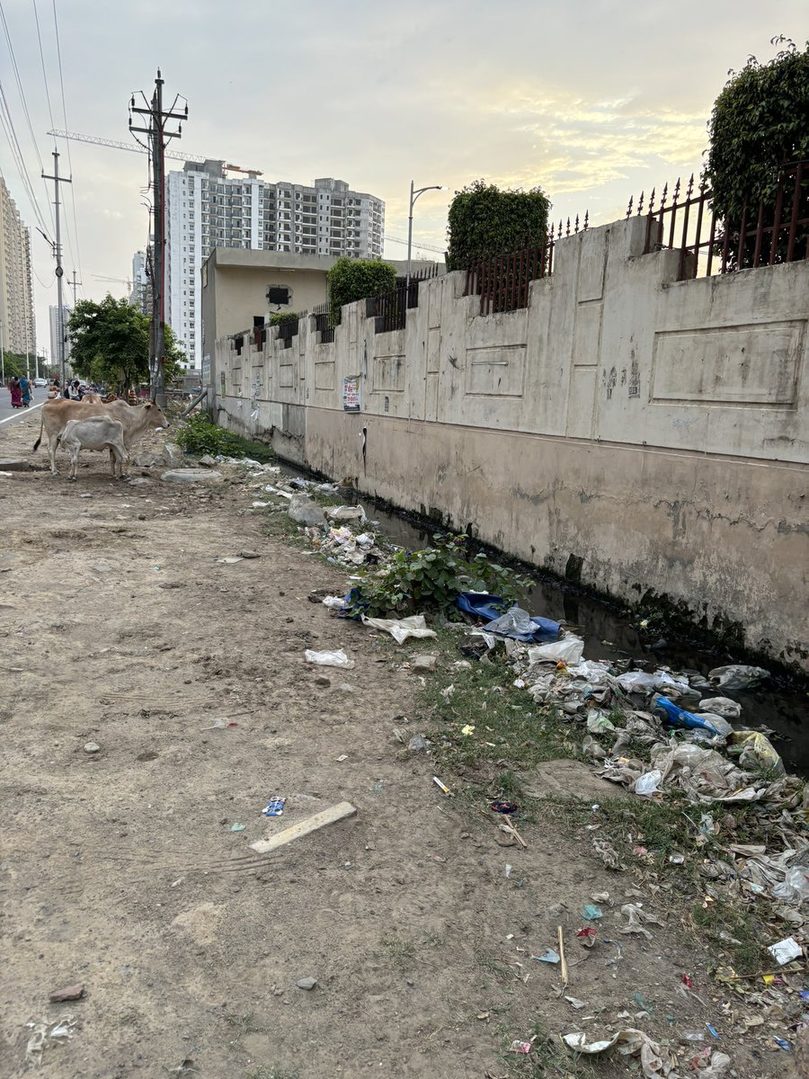 amitek1990's tweet photo. Condition of internal road b/w Nirala Estate &amp; La-Residentia Societies- Recently inaugurated by @dr_maheshsharma Ji. No footpath, no cleaning, open drain- @GreaterNoidaW @myogiadityanath @BJP4UP https://t.co/RDMIIZhc25