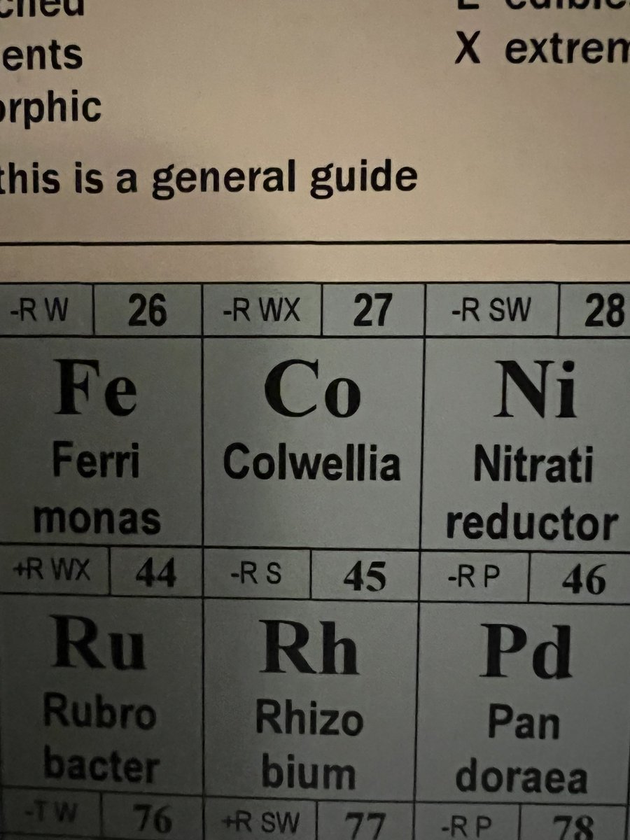 John Warhol tweet media