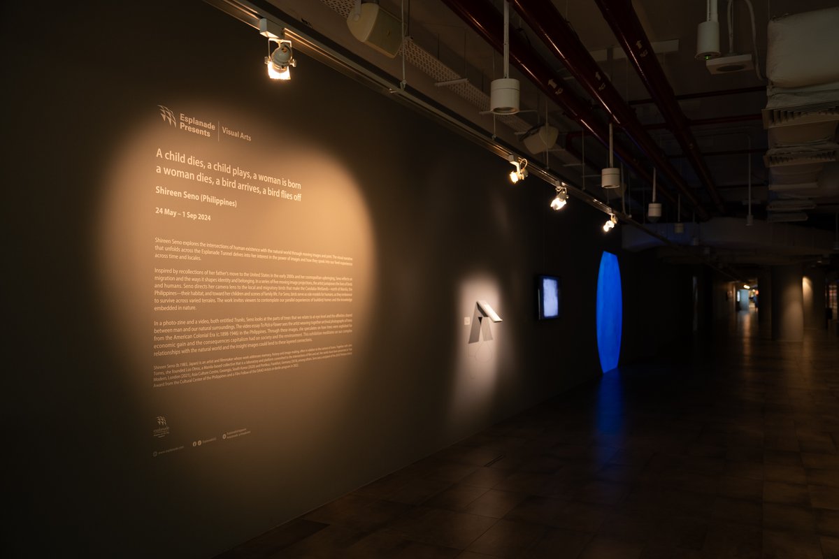 Installation shots of my solo show in Singapore on view until Sep 1. All images courtesy of Esplanade - Theatres on the Bay

A child dies, a child plays, a woman is born, a woman dies, a bird arrives, a bird flies off
24 May – 1 Sep 2024
Esplanade Tunnel

esplanade.com/whats-on/festi…