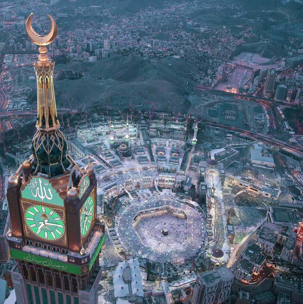 كولومبوس 🐪 tweet media