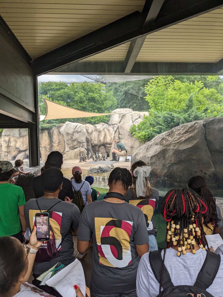 UCCancerCenter's tweet image. Huge thanks to Dr. Katie Cronin and team @lincolnparkzoo for teaching our summer trainees about research on animal behavior, animal welfare, and animal cancers. Perhaps a future veterinary oncologist in the group? #ChicagoEYESonCancer #ACS_DICR #researcHStart