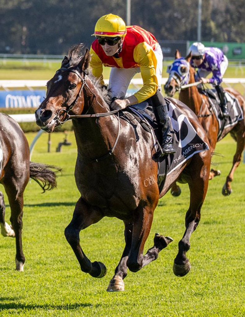 Chinahorseclub's tweet image. The @ANeashamRacing stable continues a strong run of form during the QLD Carnival w/ 🥇&amp;amp;🥉in the Listed Oxlade Stakes 👏👏👏

We were particularly excited to see #CHCbred DEPTH OF CHARACTER become a stakes performer in only his second start👌

#ChaseTheDream #TheChaseGrad