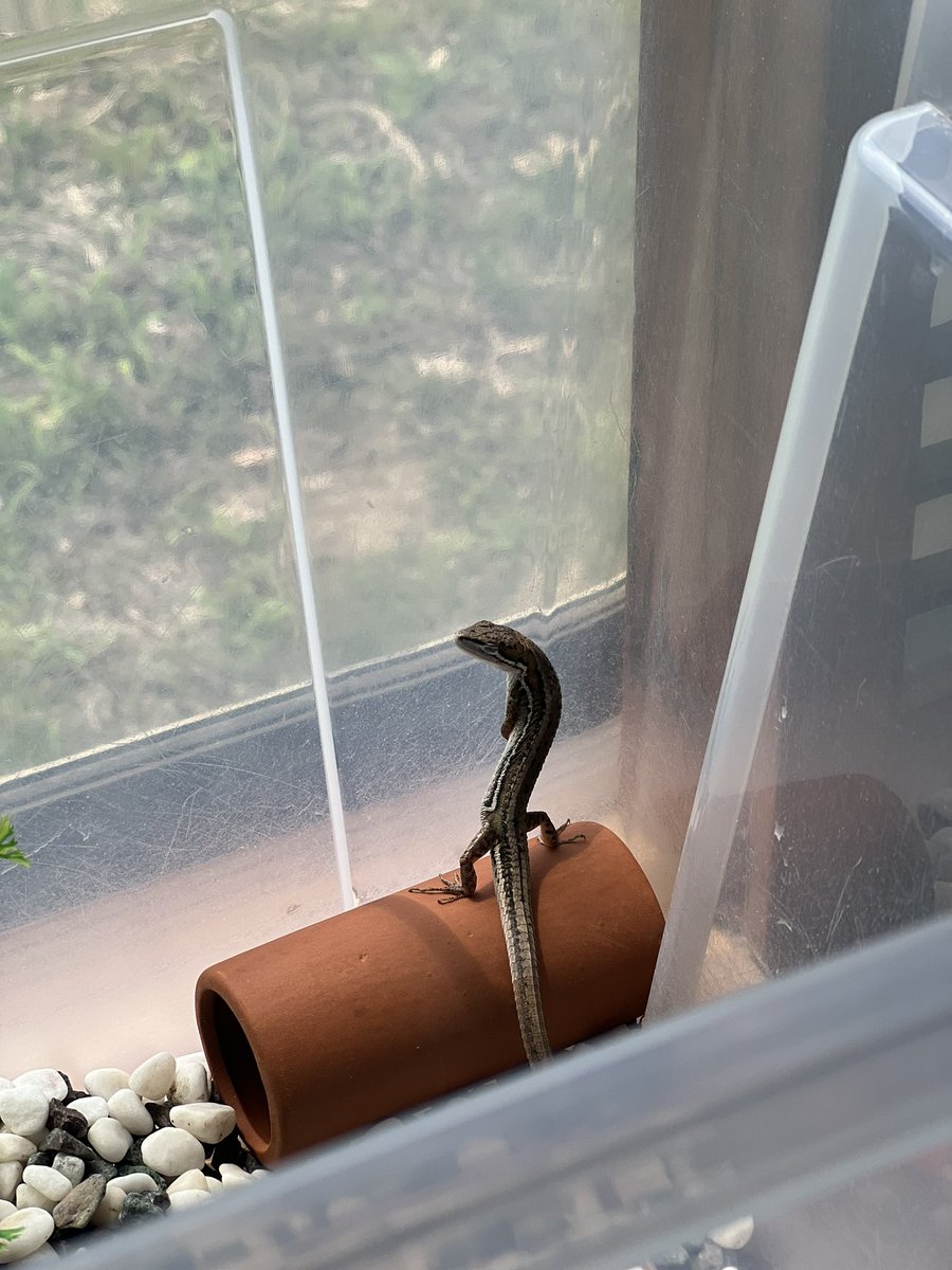 立ションですか