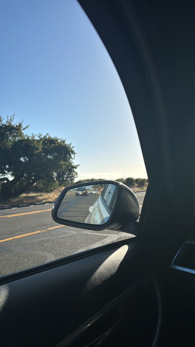 CDDP's tweet image. XIV. ✨