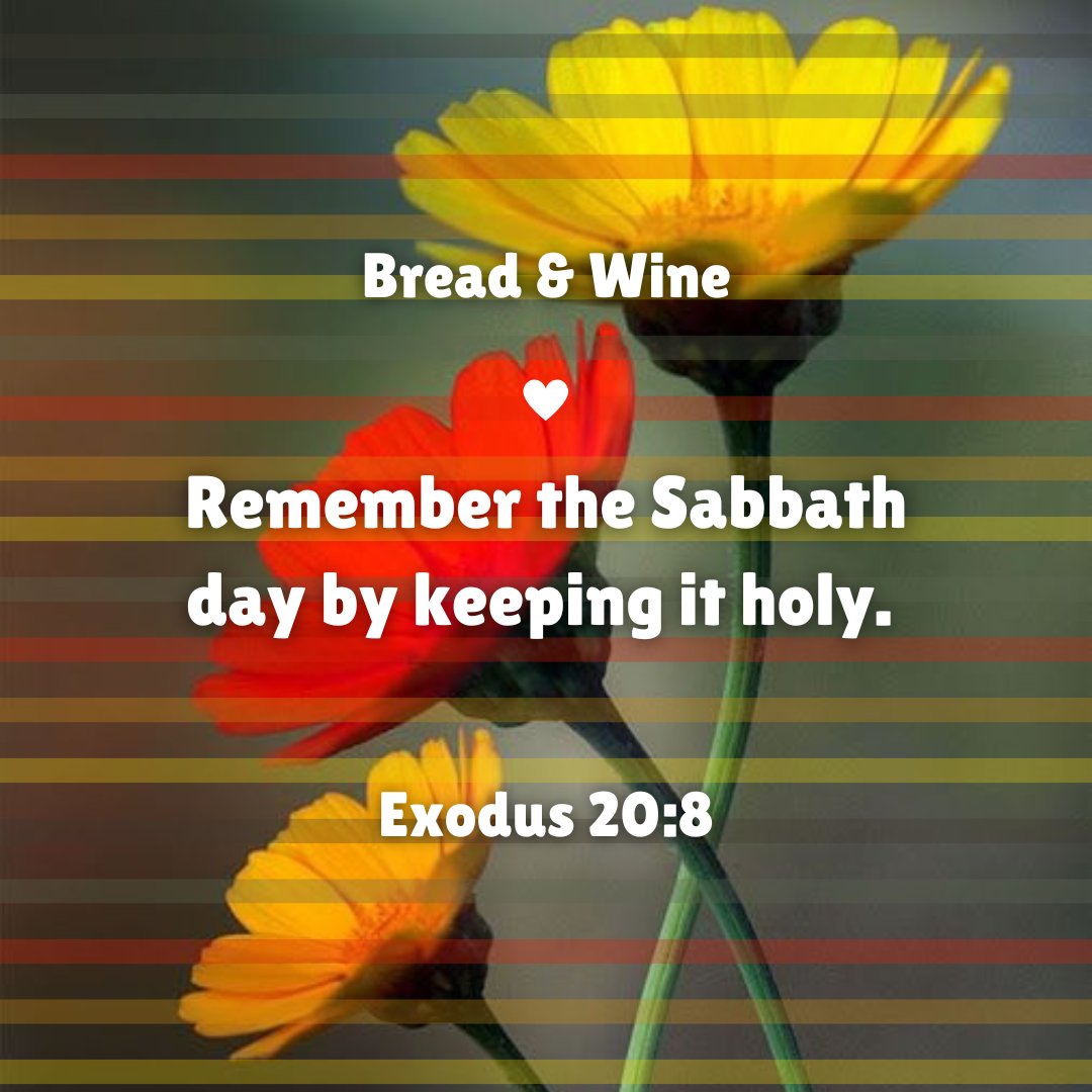 QueenQQ25's tweet image. #TGIS🤗 #BeautifulWeekEnd🌸
🌤️ #BT📖 #TWTTTL🙌 #BW
youtu.be/jyqD2Ls5ReA?si…
#The_Ones❣️
- David &amp;amp; Nicole ft. Maranda -
#Love❤️💙#Peace